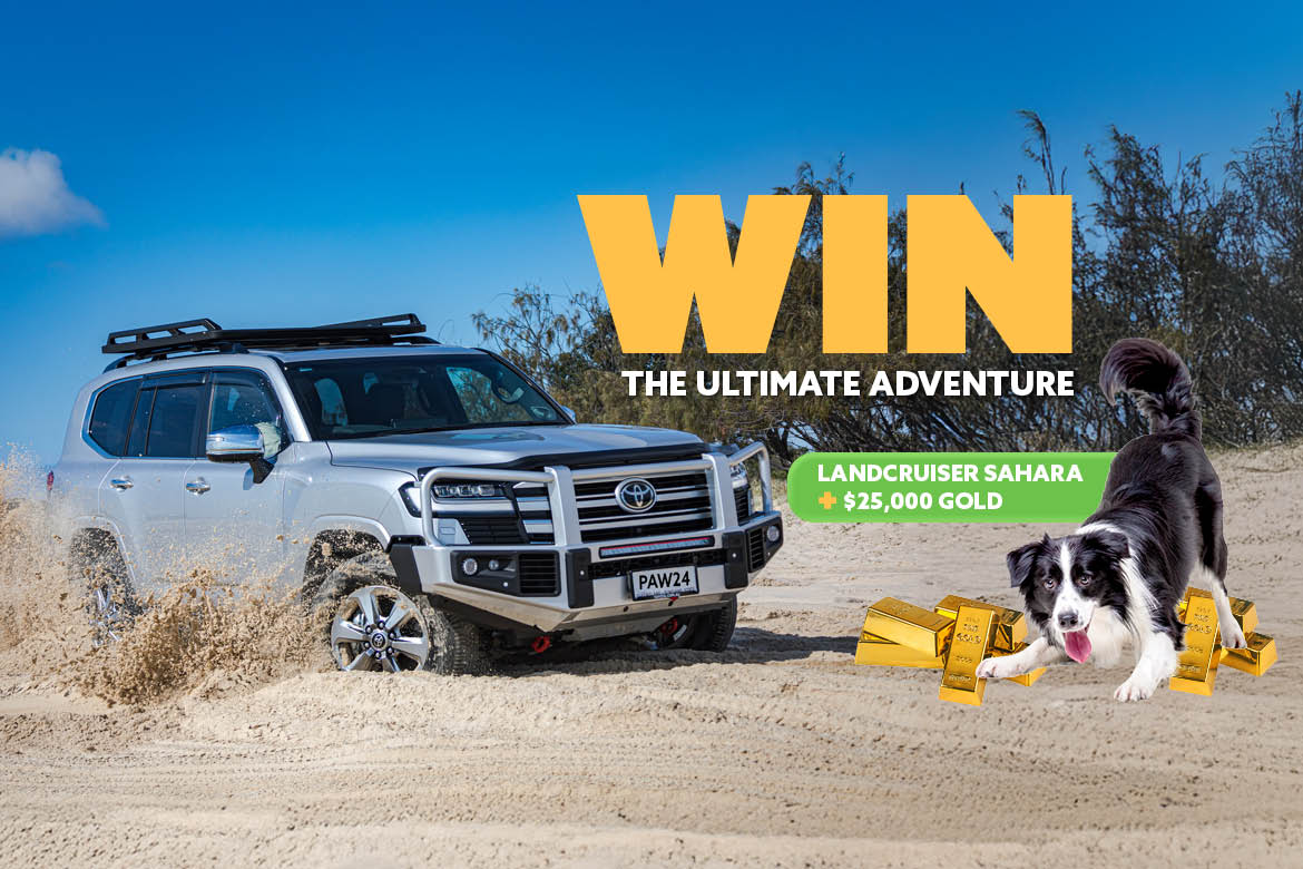 Win the ultimate adventure