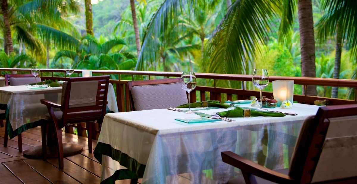 Dining Table at Rainforest Restaurant