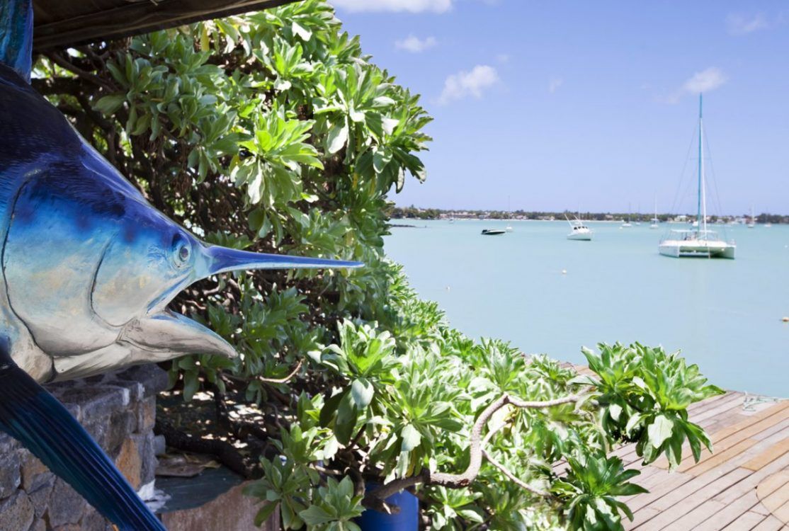 Saturday Superdraw 20 Best Fishing Spots - Cape Verde Islands, Africa