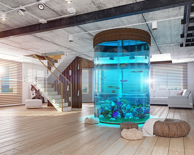 Home Aquarium idea for $20 Million Superdraw