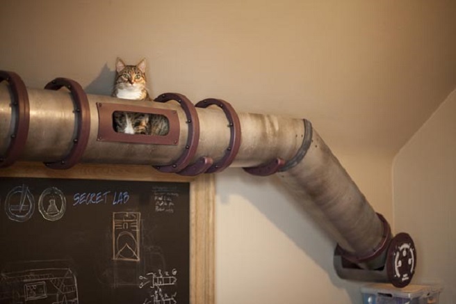 Cat Tube