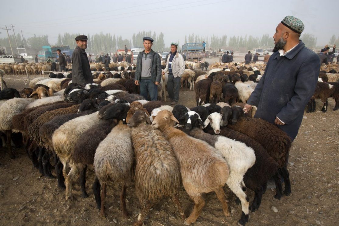 Kashgar, Xinjiang China - Livestock Market