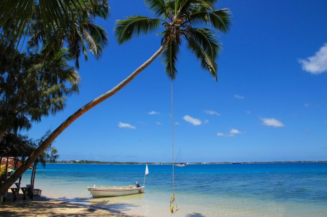 Boat and leaning palm tree with rope swing at island in Tonga.