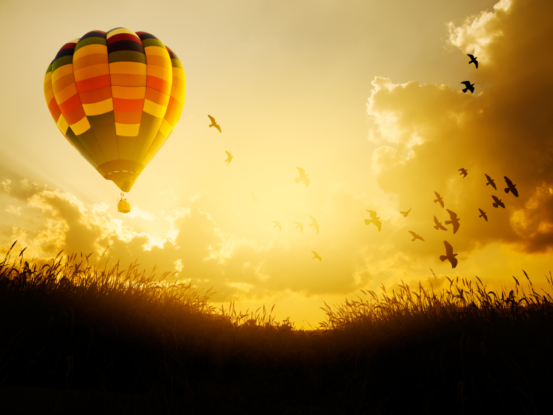 hot air balloon ride/ sunset